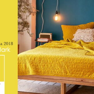 TGi issue banner-Meadowlark-1